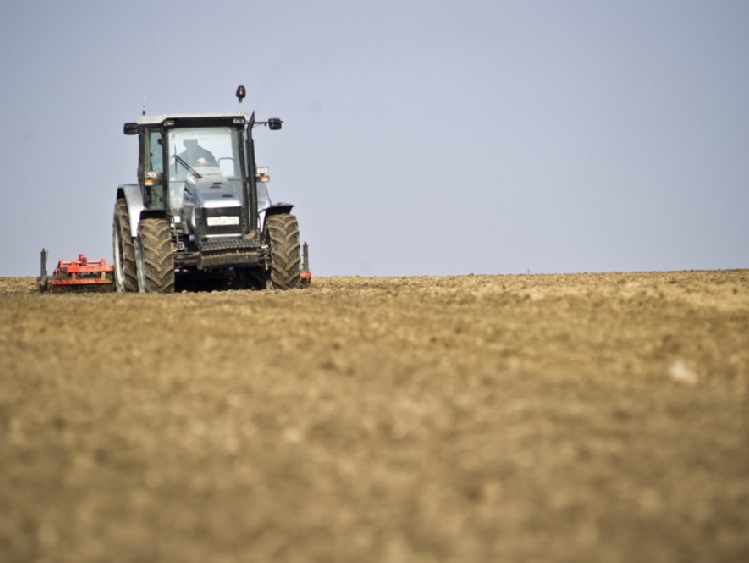 Śląskie: w 2016 r. 800 tys. zł na wapnowanie kwaśnych gleb